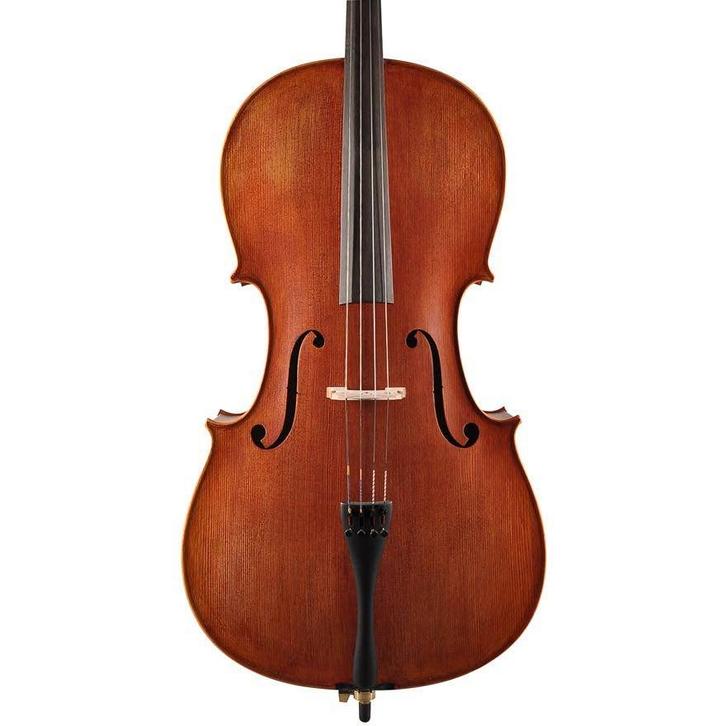 Leonardo LC-2744-M 4/4 cello met strijkstok en draagtas, Muziek en Instrumenten, Strijkinstrumenten | Cello's, Verzenden