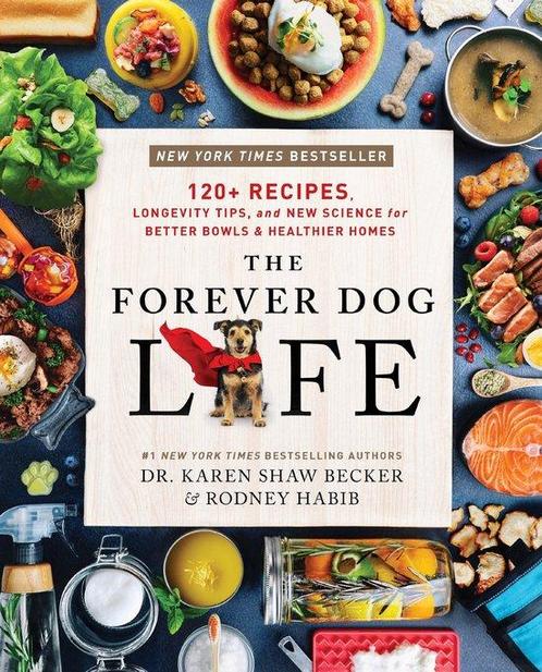 9780063314009 The Forever Dog Life | Tweedehands, Boeken, Studieboeken en Cursussen, Zo goed als nieuw, Verzenden