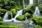 Tuinposter Waterval in het bos -, Verzenden