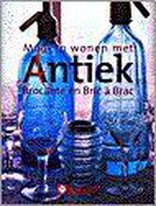 Modern Wonen Met Antiek Brocante En Bric, Boeken, Literatuur, Ophalen of Verzenden