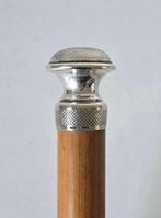 Antieke Wandelstok - Hout, Zilver - Zilveren knop. 1800/1850