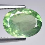 Geel, Groen Chrysoberil - 3.05 ct - International, Nieuw