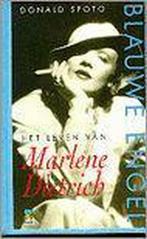 Het grote AVI stripboek 9789060747568 D. Spoto, Verzenden, Gelezen, D. Spoto
