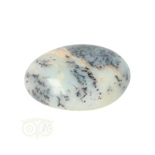 Dendriet Opaal - Agaat handsteen - Small Nr 31 - 21 gram, Sieraden, Tassen en Uiterlijk, Edelstenen, Nieuw, Verzenden
