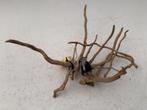 Spiderwood Selected SW8 - 48x20x32cm (Spider wood), Dieren en Toebehoren, Vissen | Aquaria en Toebehoren, Ophalen of Verzenden
