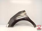 Citroen C3 DS3 2010-2013 Zijscherm Spatbord Links Voor, Ophalen, Gebruikt, Links, Citroën