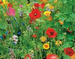Wilde Bloemenmengsel 75G.