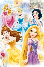Poster Disney Princess Group 61x91,5cm, Verzenden, Nieuw, A1 t/m A3