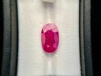 Zonder minimumprijs - 1 pcs Rood Robijn - 5.52 ct - Lotus, Sieraden, Tassen en Uiterlijk, Edelstenen, Nieuw