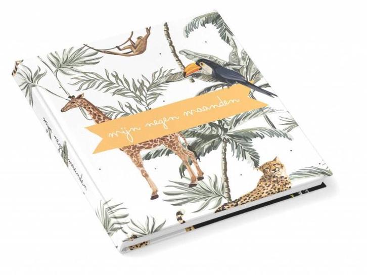 Mijn negen maanden 9789492581686 Kidooz, Boeken, Zwangerschap en Opvoeding, Zo goed als nieuw, Verzenden