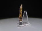 Europa Vuursteen gereedschap. 4,3 cm H. Neolithisch, 6000 -