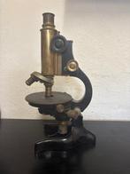 Monocular compound microscope - N40853 - 1900-1910 - Italië