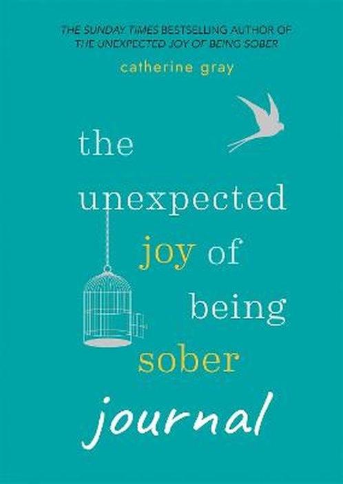 9781783253081 Unexpected Joy of Being Sober Journal, Boeken, Studieboeken en Cursussen, Nieuw, Verzenden