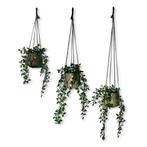 Voordeelset van 3 Plantenhangers Zonder Kwast - Zwart - 80,, Huis en Inrichting, Ophalen of Verzenden, Nieuw