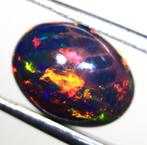 Cts. 2.40 Natuurlijke Ethiopische zwarte opaal Cabochon -, Verzamelen, Mineralen en Fossielen