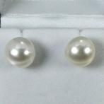 Zonder minimumprijs - Oorbellen Zilver Parel - Southsea, Nieuw