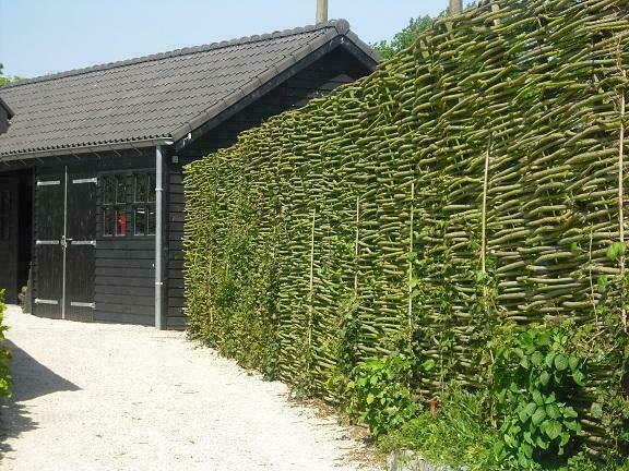 Wilgentenen schutting, ambachtelijk handgevlochten, Tuin en Terras, Zwembaden, Overige typen, Nieuw, 300 cm of meer, 120 cm of meer