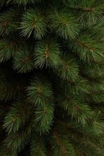 2dekans | Black Box Kunstkerstboom - Smal - Groen - 215 cm -, Diversen, Kerst, Ophalen of Verzenden, Zo goed als nieuw