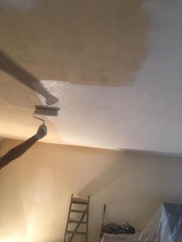 Muur / plafond sauzen ?  Back to Life schilders Purmerend beschikbaar voor biedingen