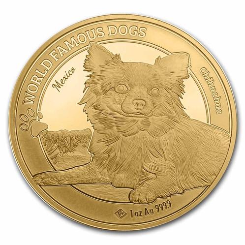 Gouden Kameroen - World Famous Dogs - Chihuahua - 1 oz 2023, Postzegels en Munten, Munten | Afrika, Losse munt, Goud, Overige landen