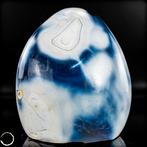 Natuurlijk Orca-Agaat Buitengewone verzamelaar-vrijvorm met