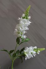 Zijden tak Lupine white 77 cm, Ophalen of Verzenden, Nieuw