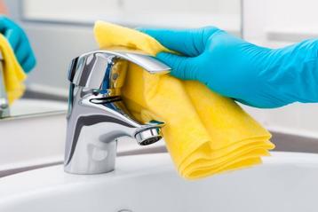 Probiotische Sanitair Reiniger 500 ml beschikbaar voor biedingen