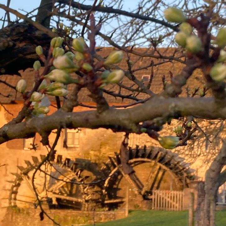 Kleinschalige vakantiewoningen aan riviertje in Zuid-Limburg, Vakantie, Vakantie | Aanbiedingen en Last minute, Eigenaar