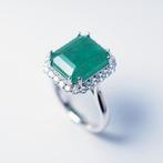 Zonder Minimumprijs - Ring Platina - 8.83ct. tw. Smaragd -, Nieuw