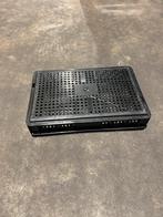 kunststof kratten geperforeerd 60x40x12 cm. Grote partij!, Gebruikt, 40 tot 60 cm, 50 tot 75 cm, Minder dan 35 cm