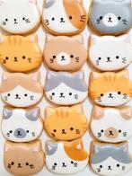 Set met 5 verschillende poezen koekjes uitsteekvormen, Verzenden, Nieuw