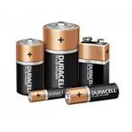 Duracell D-batterijen - 1,5 Volt - Alkaline - 2 stuks, Ophalen of Verzenden, Nieuw