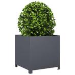 Plantenbak 50x50x50 cm staal antracietkleurig (Overige), Huis en Inrichting, Overige Huis en Inrichting, Verzenden, Nieuw