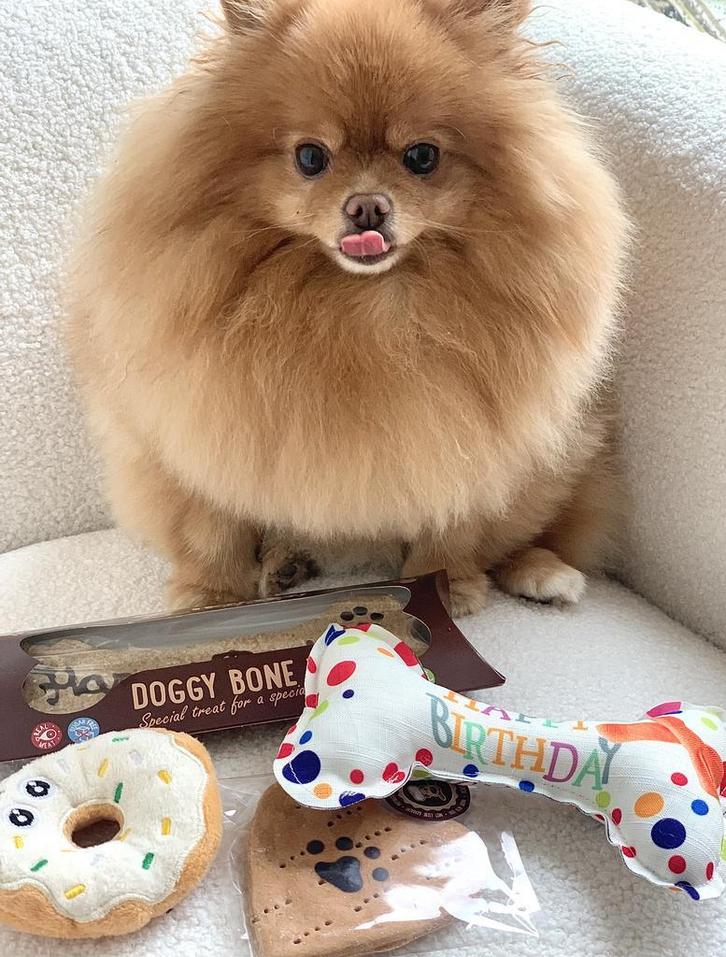 Honden verjaardags pakket 4-delig met speeltjes en koeken, Dieren en Toebehoren, Honden-accessoires, Nieuw, Verzenden