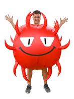KIMU® Opblaas Kostuum Virus Opblaasbaar Pak Viruspak Mascott, Carnaval, Nieuw, Overige maten, Ophalen of Verzenden
