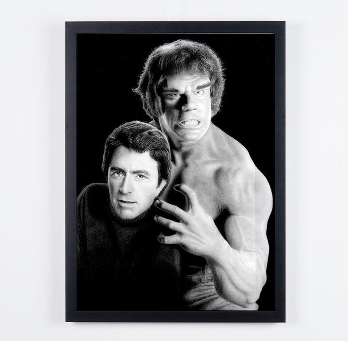 The Incredible Hulk - Classic TV - Bill Bixby & Lou Ferrigno, Verzamelen, Film en Tv