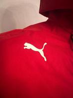 Ferrari - Formule 1 - Competizione GT - 2023 - Teamkleding, Nieuw