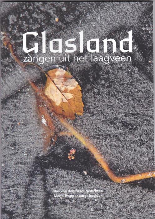 Glasland / Collectief Raaf / 2 9789493175730, Boeken, Gedichten en Poëzie, Zo goed als nieuw, Verzenden