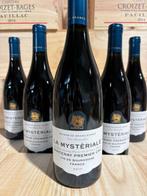 2017 Maison de Grand Esprit La Mysteriale - Santenay 1er, Nieuw
