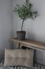 Velvet kussen met knopen Sand 60 cm, Huis en Inrichting, Woonaccessoires | Kussens, Ophalen of Verzenden, Nieuw