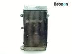 Radiateur Honda FJS 400 | SW T 400 2008-2016 (FJS400 SW, Motoren, Verzenden, Gebruikt