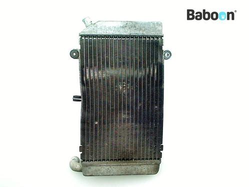 Radiateur Honda FJS 400 | SW T 400 2008-2016 (FJS400 SW, Motoren, Onderdelen | Honda, Gebruikt, Verzenden