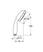 GROHE New Tempesta 100 Douchekop - Ø 10 cm - 2 straalstanden, Ophalen of Verzenden, Zo goed als nieuw