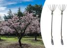 Set van 2 sieramandelbomen voor buiten (140 - 160 cm), Tuin en Terras, Planten | Tuinplanten