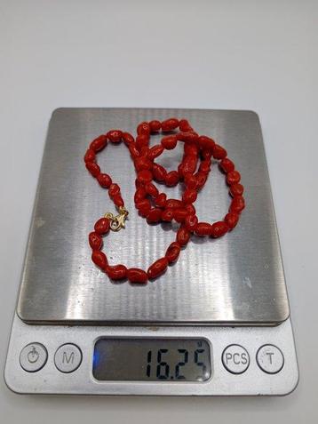 Bloedkoraal Koraal - Corallium rubrum (Zonder Minimumprijs) beschikbaar voor biedingen