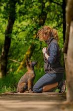 Dogtraining Patricia Dogwalking Patricia Doghousing Patricia, Pension of Dagopvang