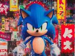 Canvas Fit - Alberto Ricardo - Sonic en Neo-Tokio: El rugido, Nieuw