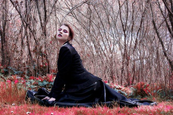 Viet Ha Tran - Fantasy forest, Antiek en Kunst, Curiosa en Brocante