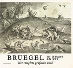 Bruegel in zwart en wit 9789463887199 Maarten Bassens, Boeken, Verzenden, Zo goed als nieuw, Maarten Bassens