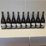 2024 Torre Rosazza Pinot Grigio - Friuli Friuli Grave DOC -, Nieuw